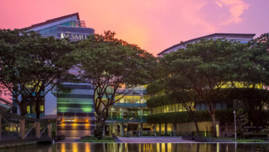 MBA Or Master In Management: Which To Choose? Explore The Best Option For Your Career